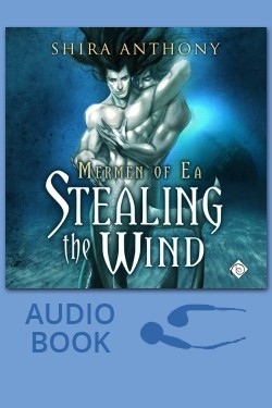Stealing the Wind